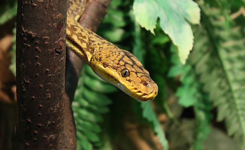 From Iguazú: Excursion to the Iguazú Biocenter - Frequently Asked Questions