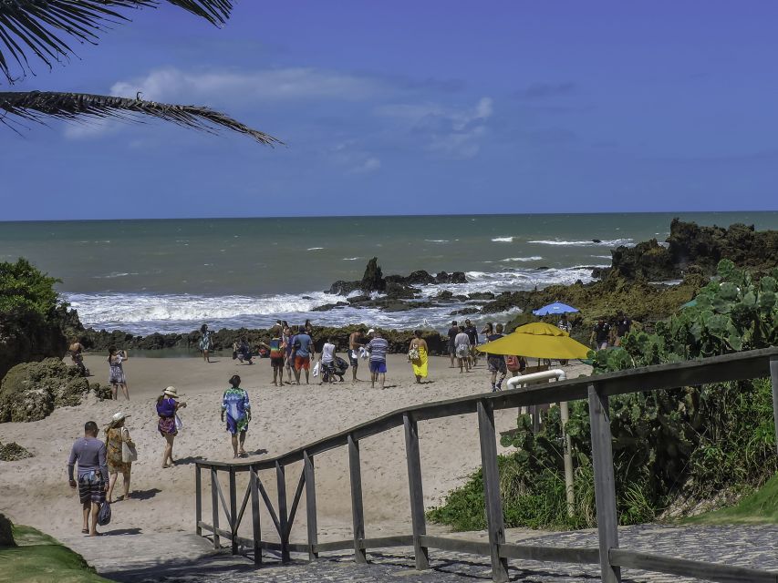 From João Pessoa: Full-Day Southern Coast Beaches Tour - Frequently Asked Questions