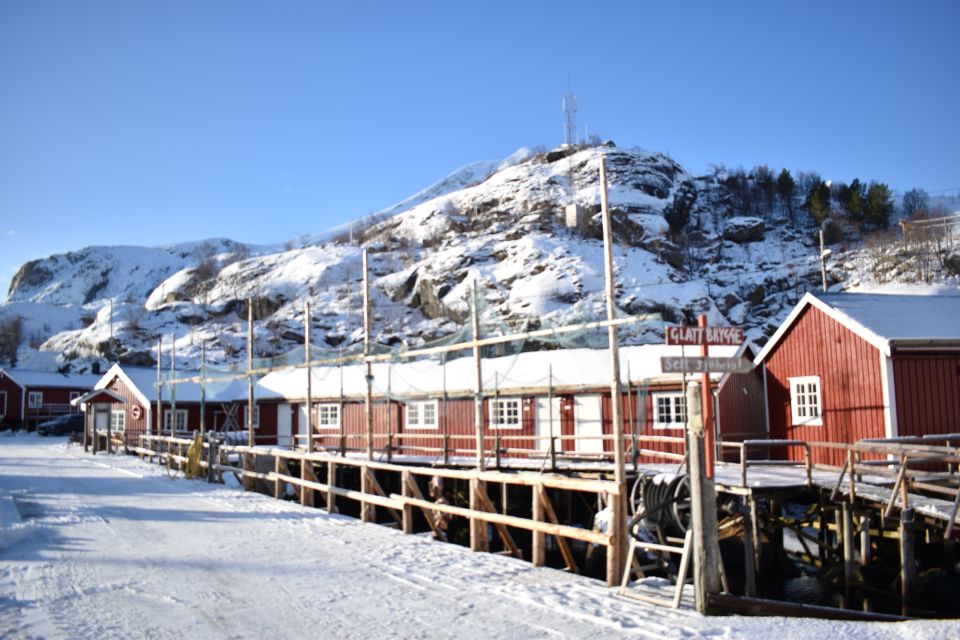 From Leknes: Private Lofoten Islands Tour With Transfer - Frequently Asked Questions