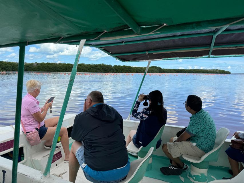 From Merida: Celestun Mangroves, Pink Flamingos and Beach - Frequently Asked Questions