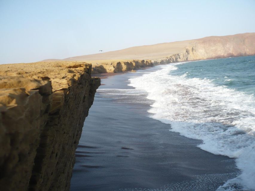 From Paracas: Private Tours Paracas National Reserve - Frequently Asked Questions