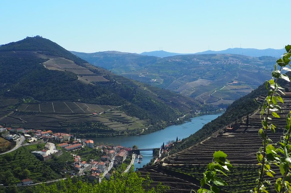 From Porto: Douro Valley Wine Tour With River Cruise & Lunch - Frequently Asked Questions