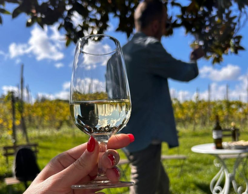 From Rome: Half-Day Frascati Wine Tour With Farmhouse Lunch - Frequently Asked Questions