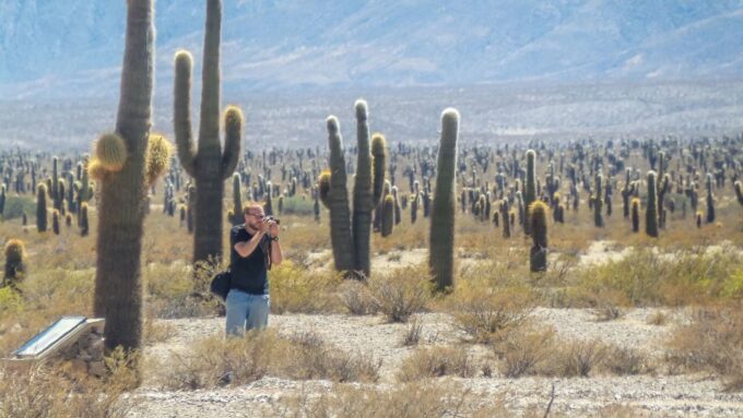 From Salta: Full-Day Scenic Tour to Cachi - Frequently Asked Questions
