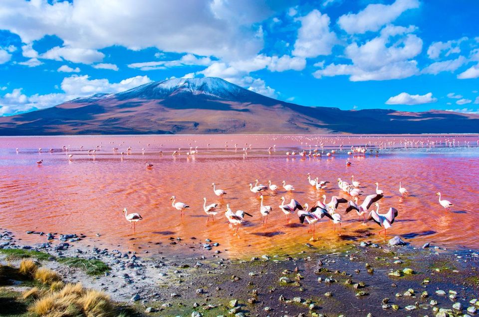 From San Pedro De Atacama: Uyuni Salt Flat 3-Days - Frequently Asked Questions