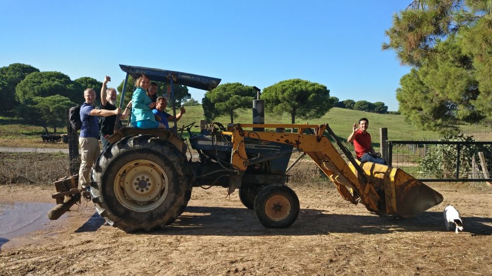 From Seville: Half-Day Bull Breeding Farm Tour - Frequently Asked Questions