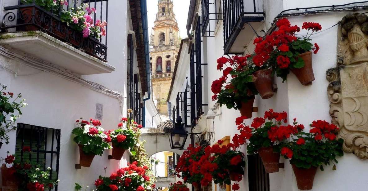 From Seville: Private Transfer to Granada and Córdoba Tour - Frequently Asked Questions