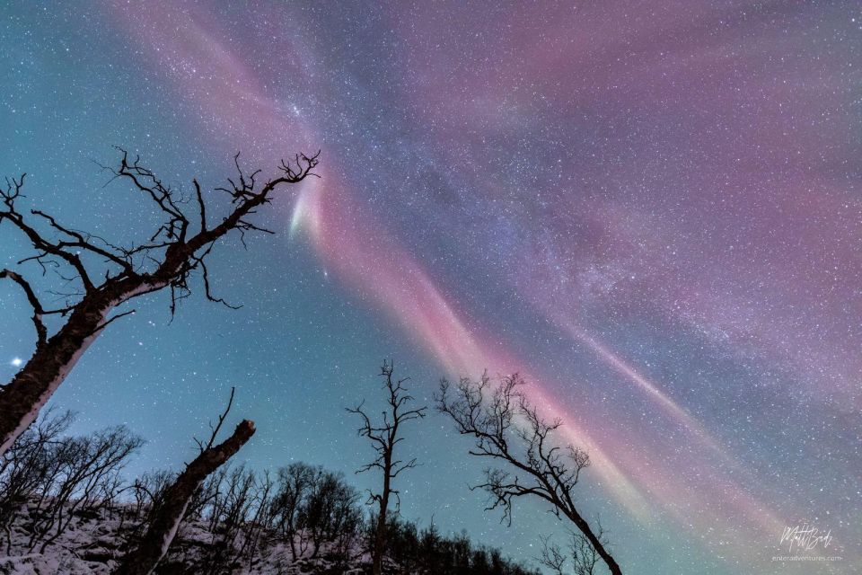 From Tromsø: Northern Lights Chase With Photos and Dinner - Frequently Asked Questions