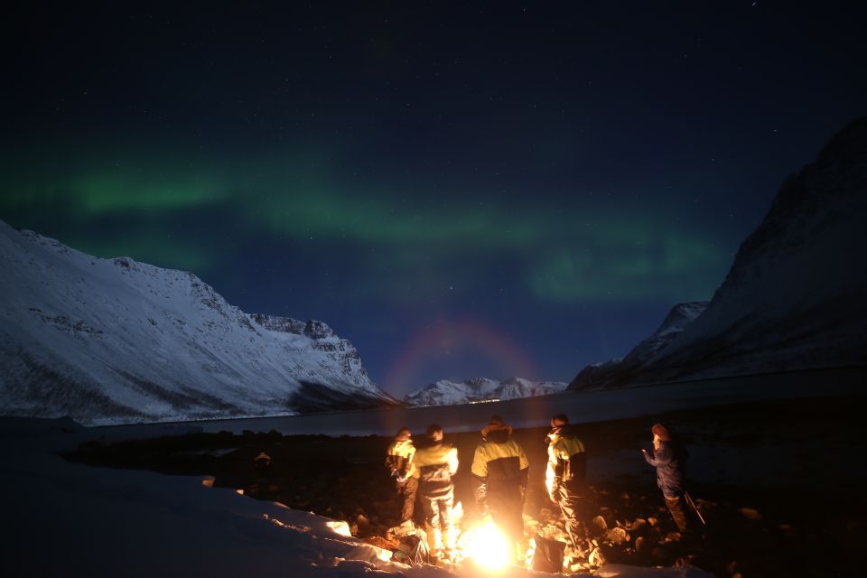 From Tromso: Northern Lights Photography Tour - Frequently Asked Questions