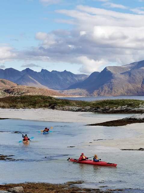 From Tromsø: Sea Kayaking Tour at Sommarøy With Transfer - Frequently Asked Questions