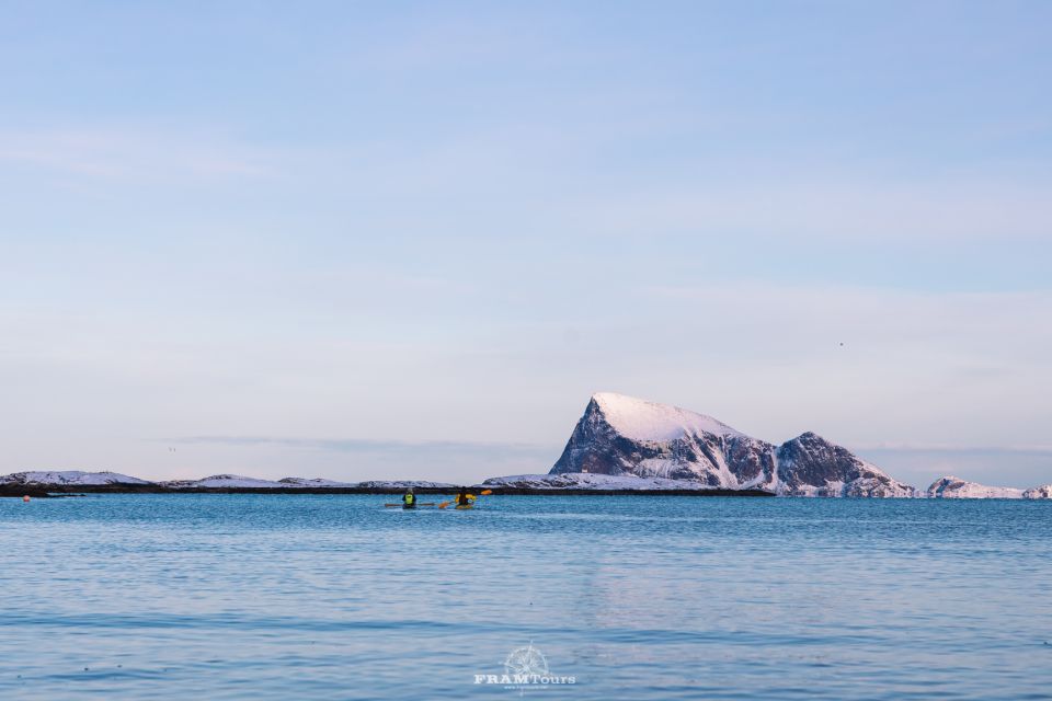 From Tromsø: Senja and Kvaløya Arctic Day Trip With Lunch - Frequently Asked Questions