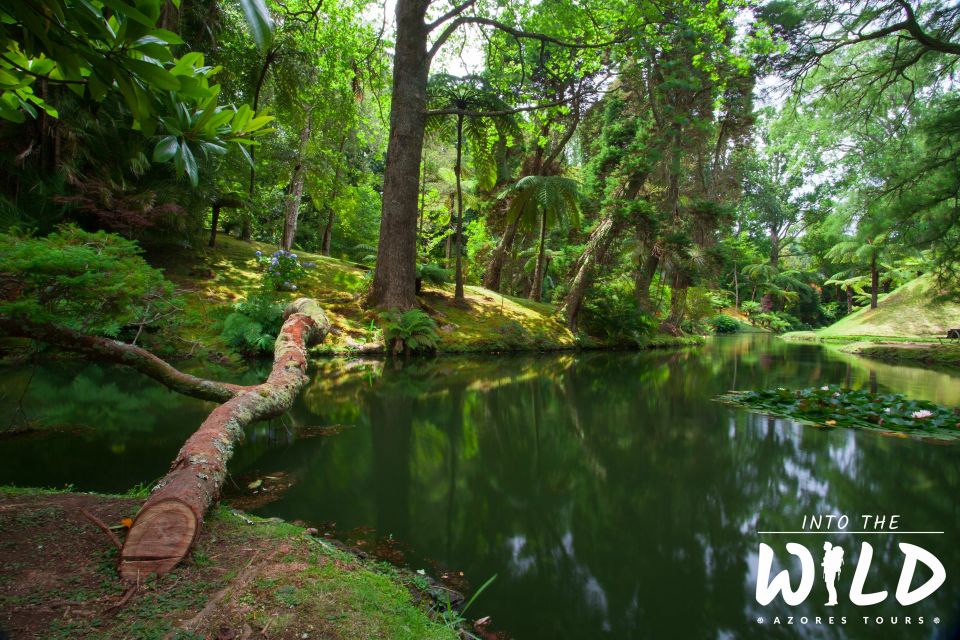 Full-Day Furnas Guided Tour With Optional Hot Springs - Frequently Asked Questions