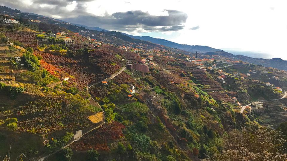 Funchal: Northern Levada Walking Tour - Frequently Asked Questions