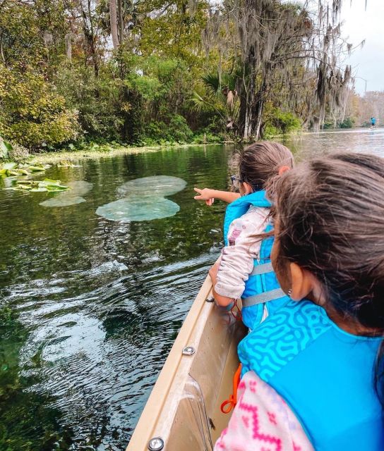 Glass Bottom Kayak Guided Tour: Silver Springs - Recap