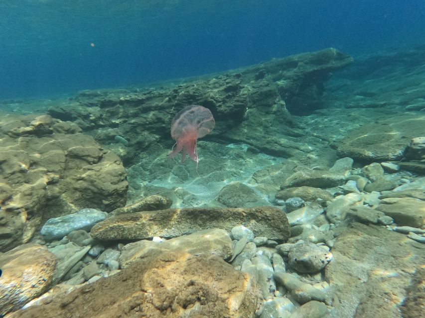 Heraklion: Beginners Intro Dive W/2 Dives With Transfer. - Frequently Asked Questions