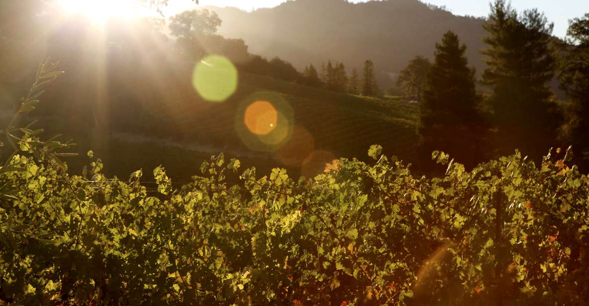 Heraklion: Half Day Semi Private Wine Tour With Tastings - Frequently Asked Questions