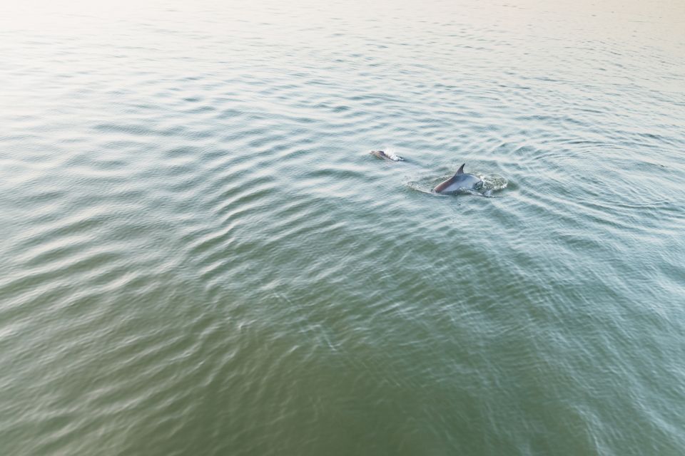 Hilton Head Island: Sunset Dolphin Cruise - Frequently Asked Questions