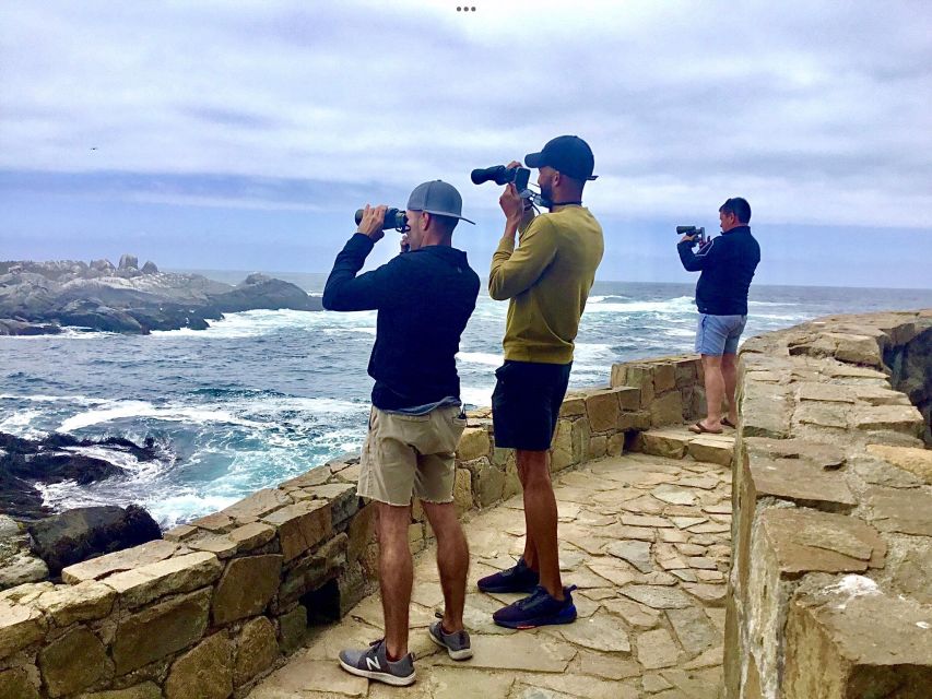 Horseback Riding, Penguins, Winery, Alpacas & Cowboy BBQ - Frequently Asked Questions