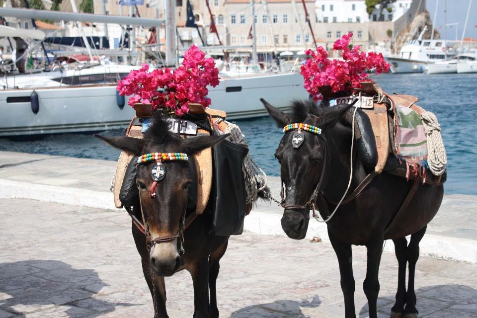 Hydra & Poros: 2 Islands Private Day Tour From Athens - Frequently Asked Questions