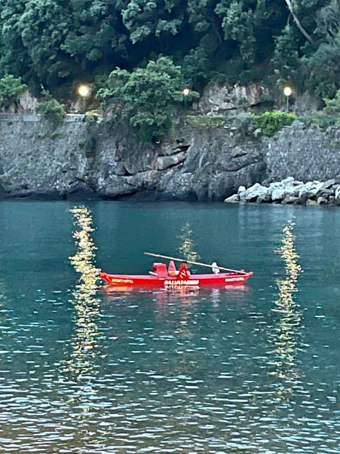 I Found My Love in Portofino, Boat Tour With Guide & Skipper - Recap