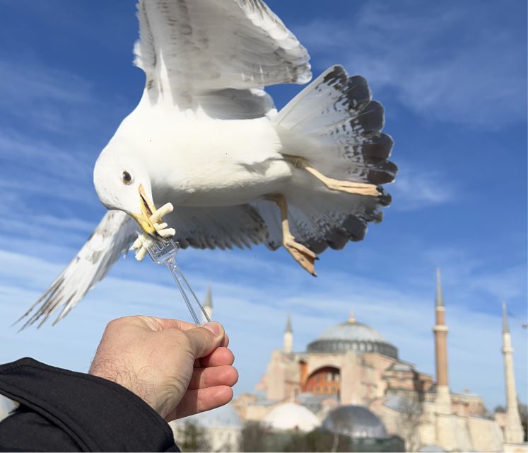 Istanbul Best : Best Istanbul City Tour : Skip the Line - Frequently Asked Questions