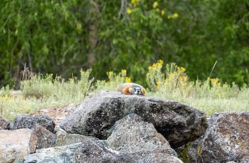 Jackson Hole: Snake River Scenic Float Tour With Chairs - Recap