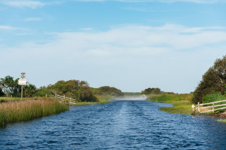 Kissimmee: 1-Hour Airboat Everglades Adventure Tour - Recap