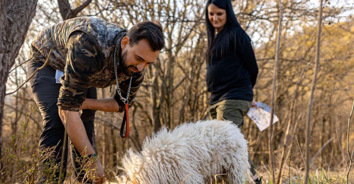 Langhe: Sunset Truffle Hunting With Tasting and Wine - Frequently Asked Questions