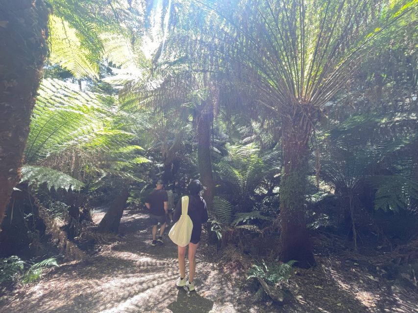 Melbourne: Great Ocean Road Day Trip With Rainforest Visit - Recap