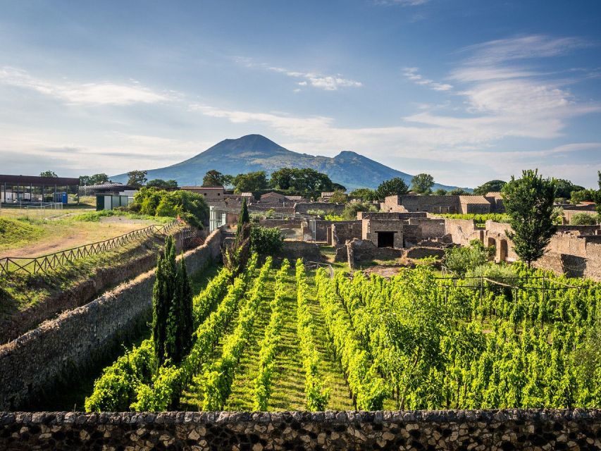 Naples: Vesuvius, Pompeii, and Vineyards Tour - Frequently Asked Questions