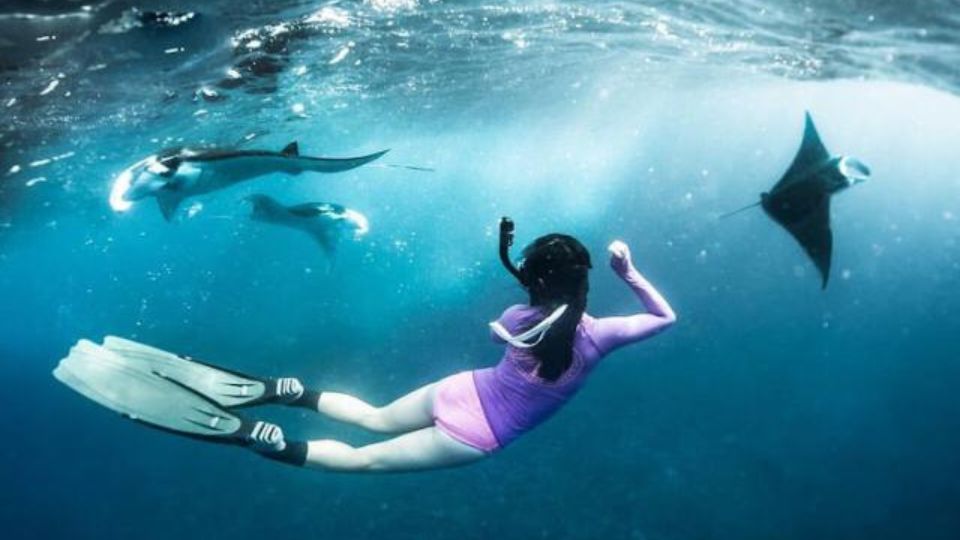 Nusa Penida: Snorkeling 3 Spots With Manta Options - Frequently Asked Questions