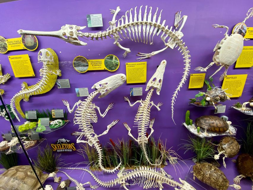 Oklahoma City: SKELETONS: Museum of Osteology Ticket - Frequently Asked Questions