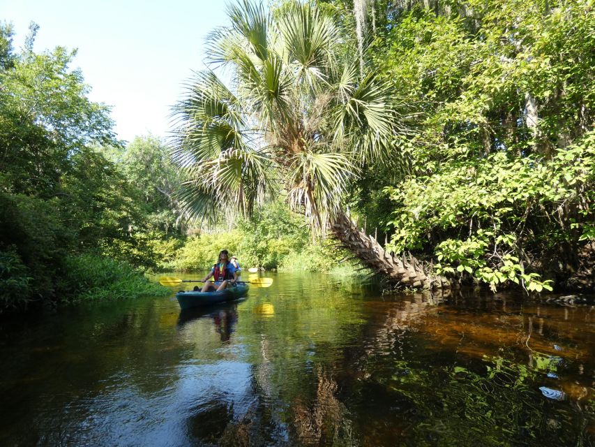 Orlando: Small Group Scenic Wekiva River Kayak Tour - Recap