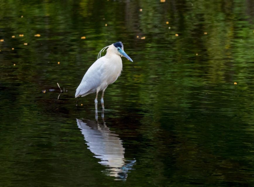 Peruvian Jungle Manu Park Four Days / Three Nights - Frequently Asked Questions