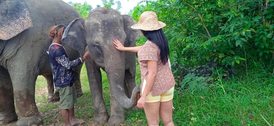 Phuket: Ethical Elephant Sanctuary Eco Guide Walk Tour - Frequently Asked Questions