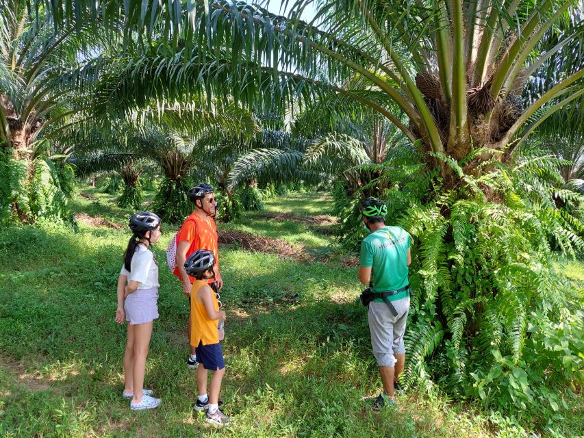 Phukets Hidden Trails Biking Adventure Small-Group Tour - Frequently Asked Questions