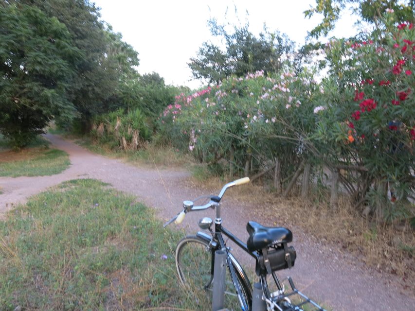 Private Bike Tour, Nature and History Along the Appian Way - Frequently Asked Questions