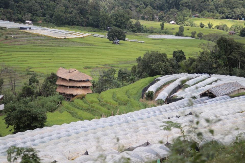 Private Doi Inthanon With Trekking Pha Dok Siew Nature Trail - Frequently Asked Questions