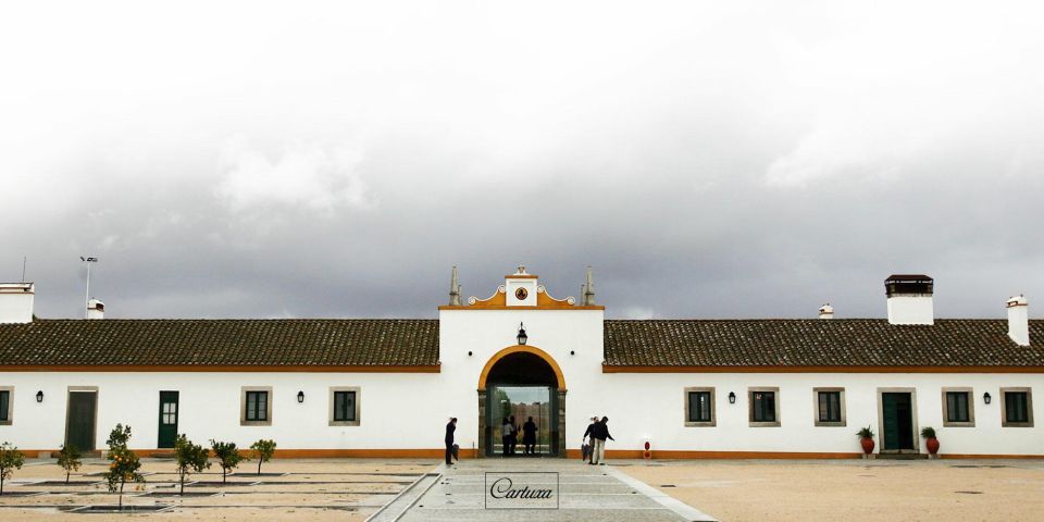 Private Luxury Wine & Food Tour in Alentejo - Frequently Asked Questions