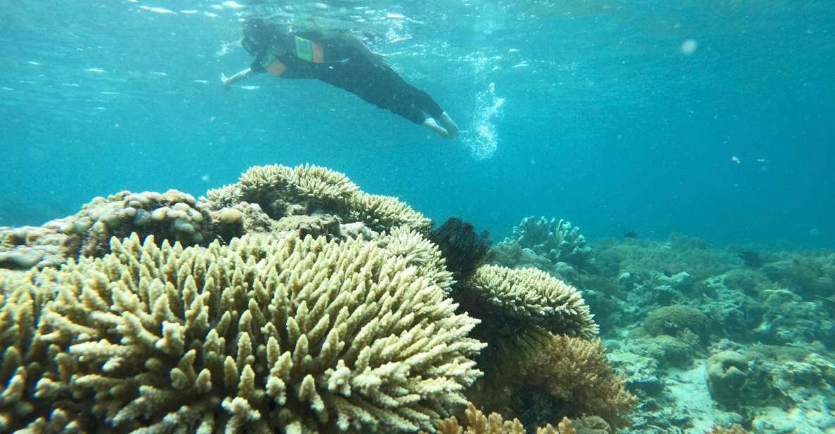 Private Snorkeling Gili Gede, Gili Asahan, Gili Goleng Tour