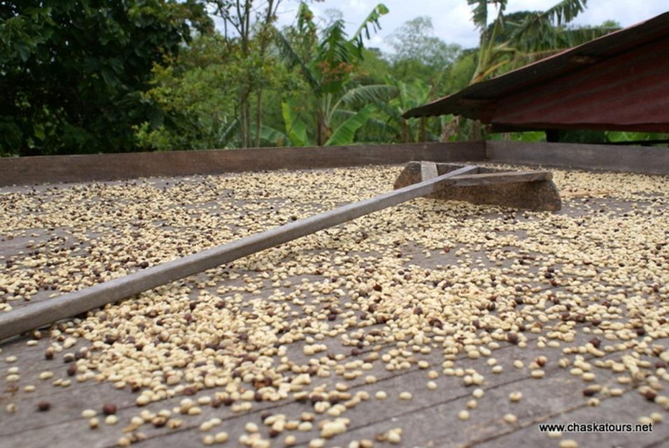 Private Tour in an Authentic, Ecological Local Coffee Finca - Frequently Asked Questions