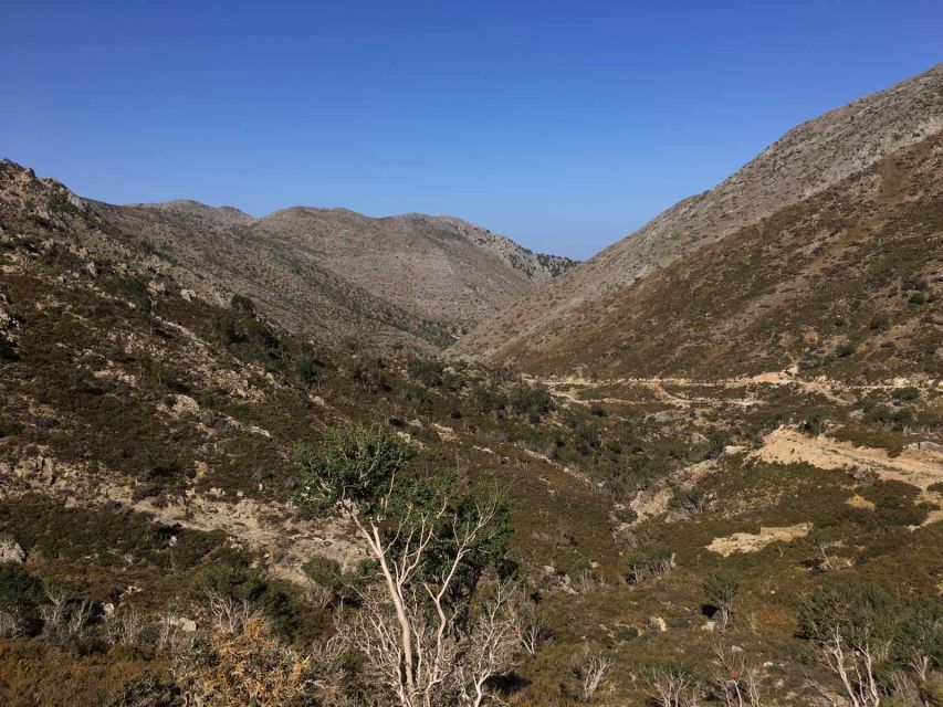 Private Tour to the White Mountains & Samaria From Above - Frequently Asked Questions