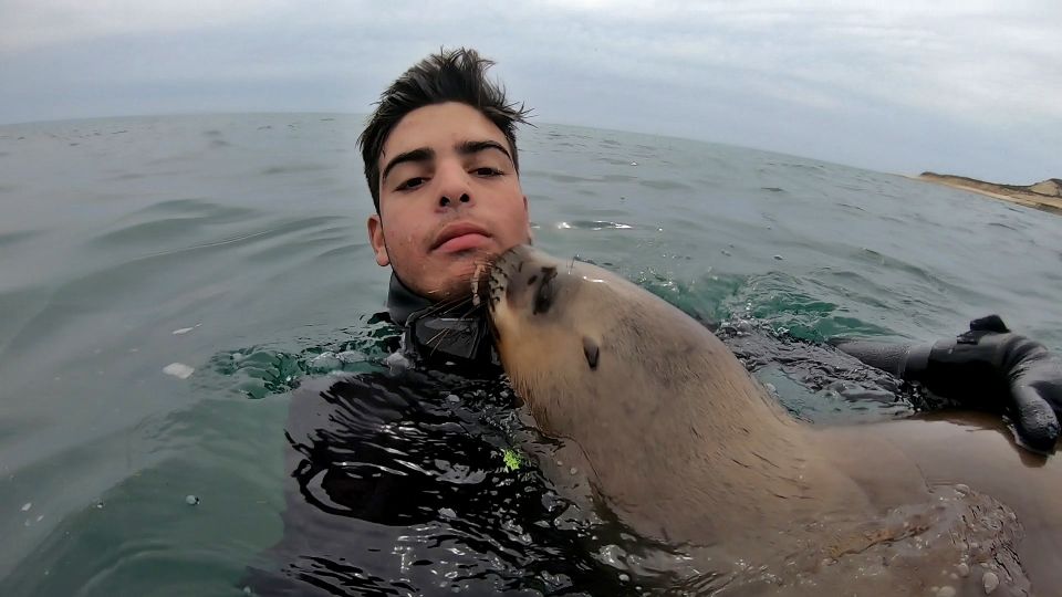 Puerto Madryn: 3-Hour Snorkeling Trip With Sea Lions - Frequently Asked Questions