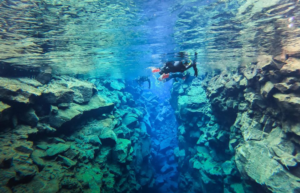 Reykjavík: Silfra Fissure Snorkeling Tour With Photo & Cocoa - Frequently Asked Questions