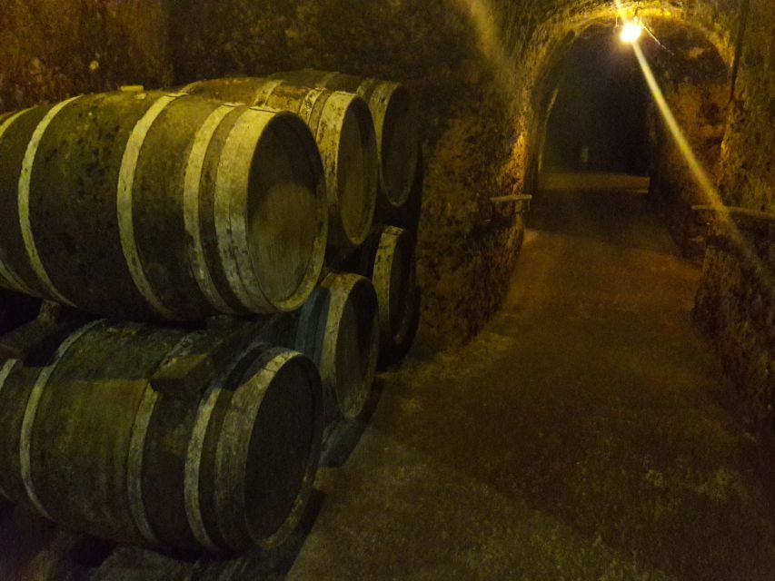 Rioja: Private Wine Tasting Tour - Frequently Asked Questions