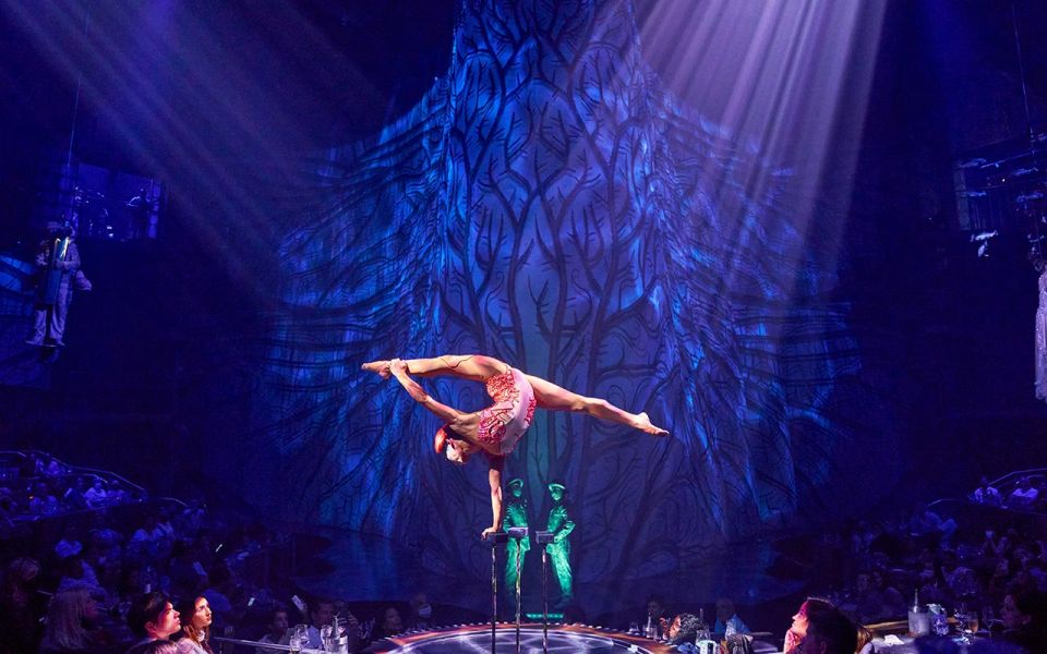 Riviera Maya: Cirque Du Soleil JOY À Ticket - Frequently Asked Questions