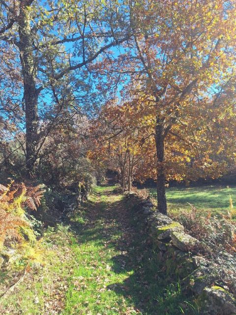 Sabugal Walking Tour: Stories and Charms of the Côa River - Frequently Asked Questions