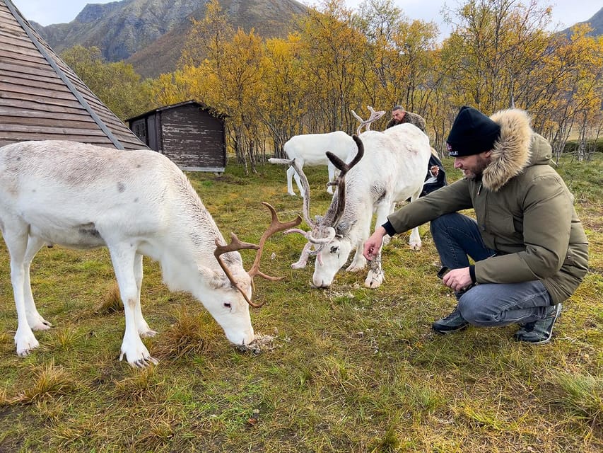 Sami Reindeer Experience - Frequently Asked Questions
