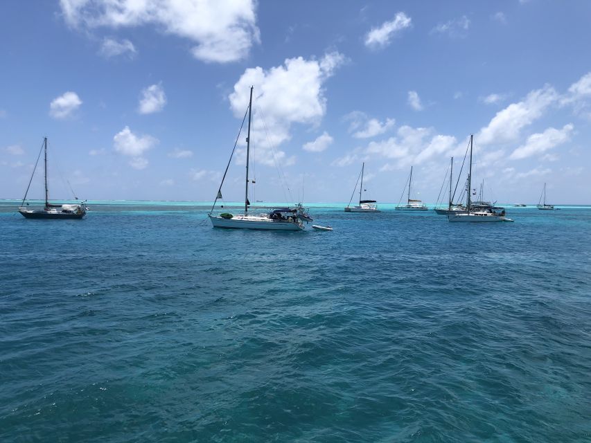 San Andrés: Island Pontoon Boat Tour - Key Points