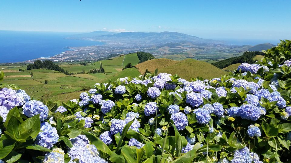 São Miguel: Sete Cidades and Lagoa Do Fogo Full-Day Tour - Frequently Asked Questions